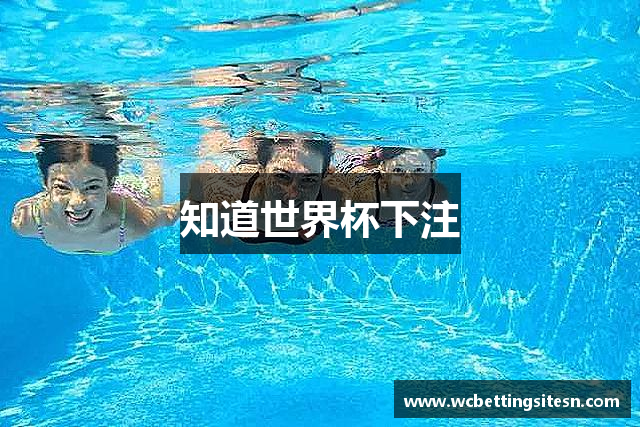 知道世界杯下注